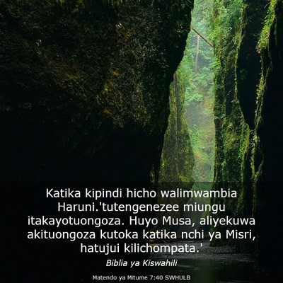 Picture 03 - Matendo ya Mitume 7:40 SWHULB - Katika kipindi hicho walimwambia - Bible Verse Picture