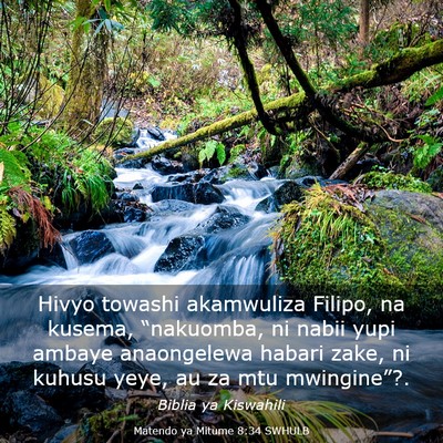 Picture 03 - Matendo ya Mitume 8:34 SWHULB - Hivyo towashi akamwuliza Filipo, na kusema, - Bible Verse Picture