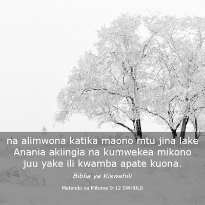 Picture 03 - Matendo ya Mitume 9:12 SWHULB - na alimwona katika maono mtu jina lake Anania - Bible Verse Picture
