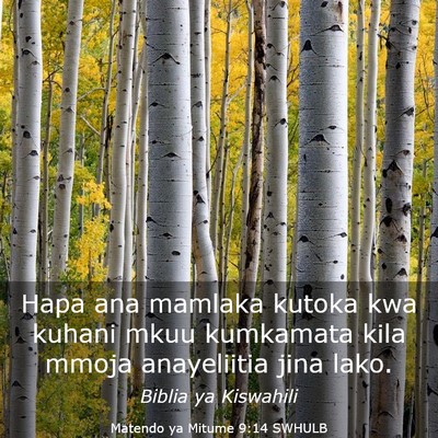 Picture 03 - Matendo ya Mitume 9:14 SWHULB - Hapa ana mamlaka kutoka kwa kuhani mkuu kumkamata - Bible Verse Picture