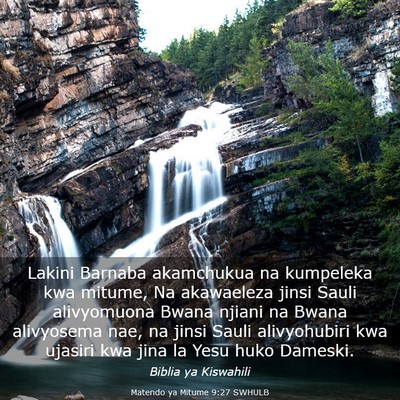 Picture 03 - Matendo ya Mitume 9:27 SWHULB - Lakini Barnaba akamchukua na kumpeleka kwa - Bible Verse Picture