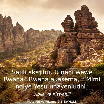 Picture 03 - Matendo ya Mitume 9:5 SWHULB - Sauli akajibu, U nani wewe Bwana? Bwana akasema, - Bible Verse Picture