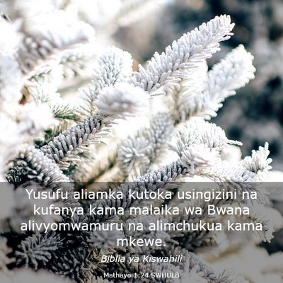 Picture 03 - Mathayo 1:24 SWHULB - Yusufu aliamka kutoka usingizini na kufanya kama - Bible Verse Picture