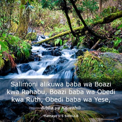 Picture 03 - Mathayo 1:5 SWHULB - Salimoni alikuwa baba wa Boazi kwa Rahabu, Boazi - Bible Verse Picture