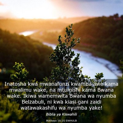 Picture 03 - Mathayo 10:25 SWHULB - Inatosha kwa mwanafunzi kwamba awe kama mwalimu - Bible Verse Picture