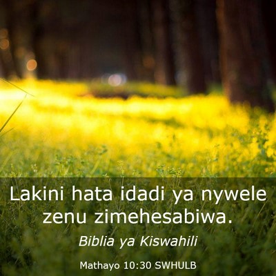Picture 03 - Mathayo 10:30 SWHULB - Lakini hata idadi ya nywele zenu - Bible Verse Picture