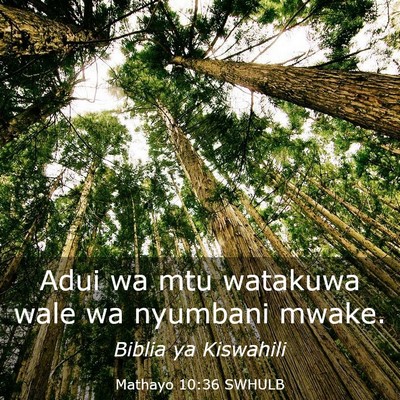 Picture 03 - Mathayo 10:36 SWHULB - Adui wa mtu watakuwa wale wa nyumbani - Bible Verse Picture