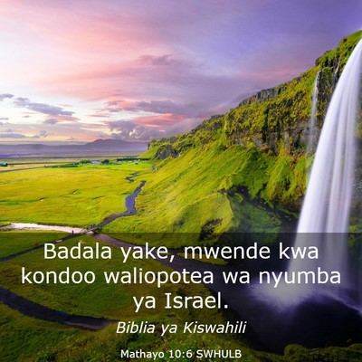 Picture 03 - Mathayo 10:6 SWHULB - Badala yake, mwende kwa kondoo waliopotea wa - Bible Verse Picture