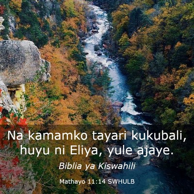 Picture 03 - Mathayo 11:14 SWHULB - Na kamamko tayari kukubali, huyu ni Eliya, yule - Bible Verse Picture