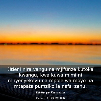 Picture 03 - Mathayo 11:29 SWHULB - Jitieni nira yangu na mjifunze kutoka kwangu, kwa - Bible Verse Picture