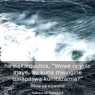 Picture 03 - Mathayo 11:3 SWHULB - na wakamuuliza, “Wewe ni yule ajaye, au kuna - Bible Verse Picture