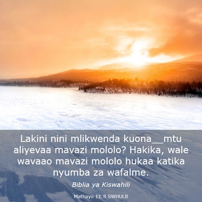 Picture 03 - Mathayo 11:8 SWHULB - Lakini nini mlikwenda kuona__mtu aliyevaa mavazi - Bible Verse Picture