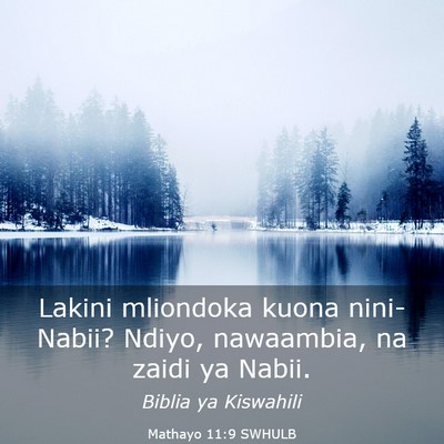 Picture 03 - Mathayo 11:9 SWHULB - Lakini mliondoka kuona nini-Nabii? Ndiyo, - Bible Verse Picture