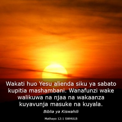 Picture 03 - Mathayo 12:1 SWHULB - Wakati huo Yesu alienda siku ya sabato kupitia - Bible Verse Picture