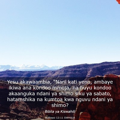 Picture 03 - Mathayo 12:11 SWHULB - Yesu akawaambia, “Nani kati yenu, ambaye ikiwa - Bible Verse Picture
