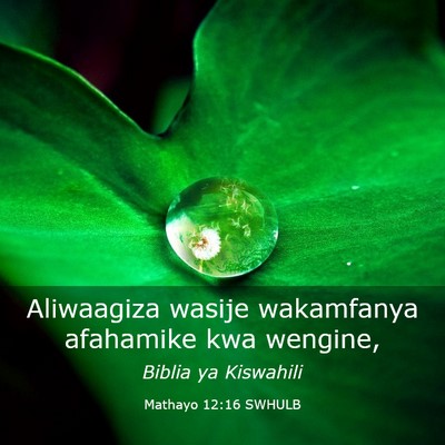 Picture 03 - Mathayo 12:16 SWHULB - Aliwaagiza wasije wakamfanya afahamike kwa - Bible Verse Picture