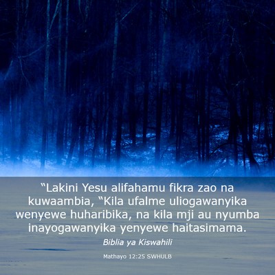 Picture 03 - Mathayo 12:25 SWHULB - “Lakini Yesu alifahamu fikra zao na kuwaambia, - Bible Verse Picture