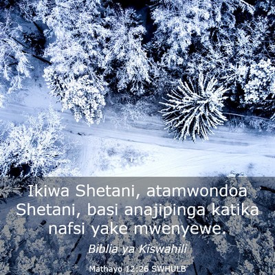 Picture 03 - Mathayo 12:26 SWHULB - Ikiwa Shetani, atamwondoa Shetani, basi - Bible Verse Picture