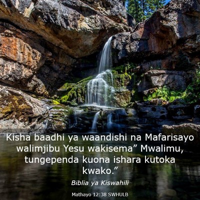 Picture 03 - Mathayo 12:38 SWHULB - Kisha baadhi ya waandishi na Mafarisayo walimjibu - Bible Verse Picture