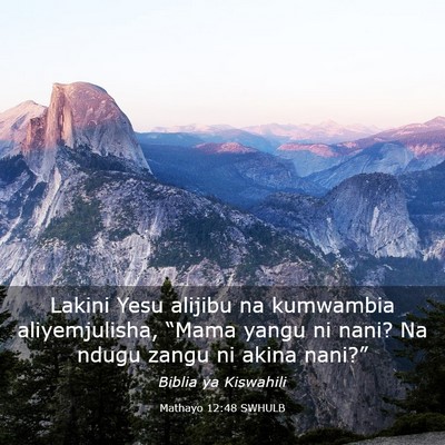 Picture 03 - Mathayo 12:48 SWHULB - Lakini Yesu alijibu na kumwambia aliyemjulisha, - Bible Verse Picture