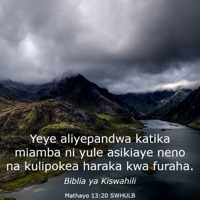 Picture 03 - Mathayo 13:20 SWHULB - Yeye aliyepandwa katika miamba ni yule asikiaye - Bible Verse Picture