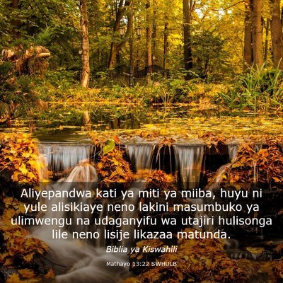 Picture 03 - Mathayo 13:22 SWHULB - Aliyepandwa kati ya miti ya miiba, huyu ni yule - Bible Verse Picture