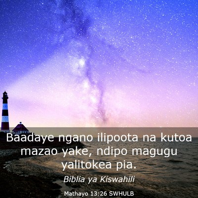 Picture 03 - Mathayo 13:26 SWHULB - Baadaye ngano ilipoota na kutoa mazao yake, ndipo - Bible Verse Picture