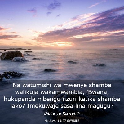 Picture 03 - Mathayo 13:27 SWHULB - Na watumishi wa mwenye shamba walikuja - Bible Verse Picture