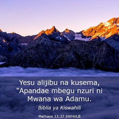 Picture 03 - Mathayo 13:37 SWHULB - Yesu alijibu na kusema, “Apandae mbegu nzuri ni - Bible Verse Picture