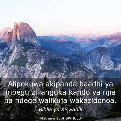 Picture 03 - Mathayo 13:4 SWHULB - Alipokuwa akipanda baadhi ya mbegu zilianguka - Bible Verse Picture