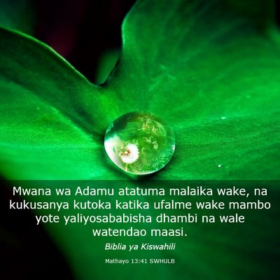 Picture 03 - Mathayo 13:41 SWHULB - Mwana wa Adamu atatuma malaika wake, na kukusanya - Bible Verse Picture