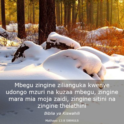 Picture 03 - Mathayo 13:8 SWHULB - Mbegu zingine zilianguka kwenye udongo mzuri na - Bible Verse Picture