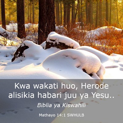 Picture 03 - Mathayo 14:1 SWHULB - Kwa wakati huo, Herode alisikia habari juu ya - Bible Verse Picture