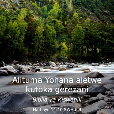 Picture 03 - Mathayo 14:10 SWHULB - Alituma Yohana aletwe kutoka - Bible Verse Picture