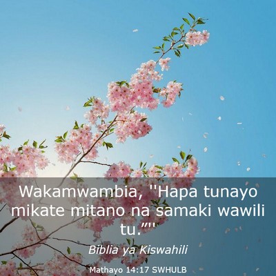 Picture 03 - Mathayo 14:17 SWHULB - Wakamwambia, ''Hapa tunayo mikate mitano na - Bible Verse Picture