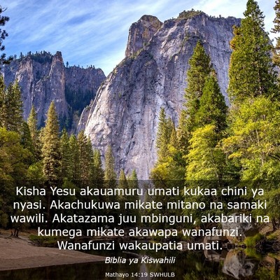 Picture 03 - Mathayo 14:19 SWHULB - Kisha Yesu akauamuru umati kukaa chini ya nyasi. - Bible Verse Picture