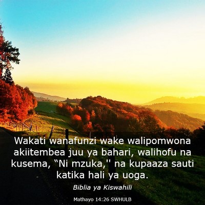 Picture 03 - Mathayo 14:26 SWHULB - Wakati wanafunzi wake walipomwona akiitembea juu - Bible Verse Picture