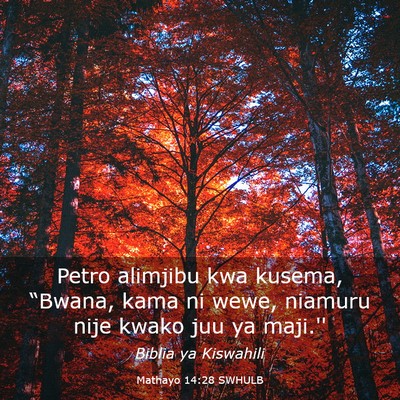 Picture 03 - Mathayo 14:28 SWHULB - Petro alimjibu kwa kusema, “Bwana, kama ni - Bible Verse Picture