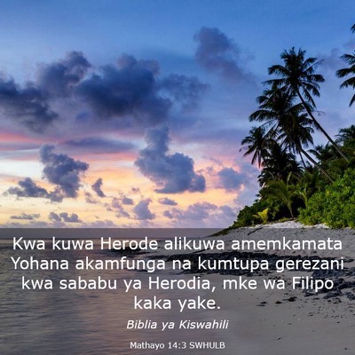 Picture 03 - Mathayo 14:3 SWHULB - Kwa kuwa Herode alikuwa amemkamata Yohana - Bible Verse Picture