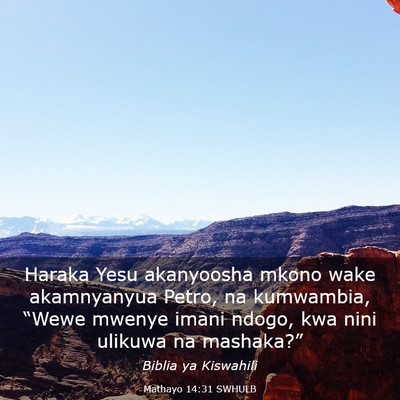 Picture 03 - Mathayo 14:31 SWHULB - Haraka Yesu akanyoosha mkono wake akamnyanyua - Bible Verse Picture