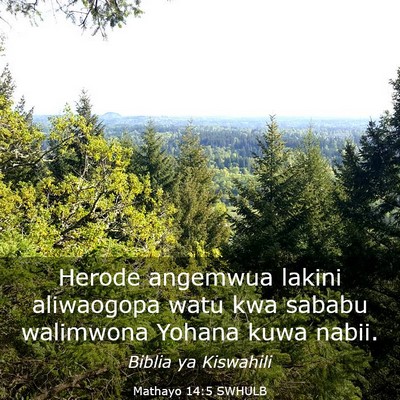 Picture 03 - Mathayo 14:5 SWHULB - Herode angemwua lakini aliwaogopa watu kwa sababu - Bible Verse Picture