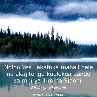 Picture 03 - Mathayo 15:21 SWHULB - Ndipo Yesu akatoka mahali pale na akajitenga - Bible Verse Picture