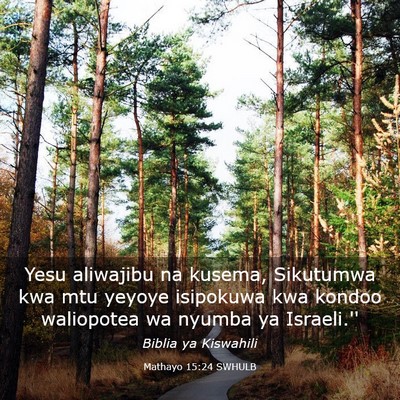 Picture 03 - Mathayo 15:24 SWHULB - Yesu aliwajibu na kusema, Sikutumwa kwa mtu - Bible Verse Picture