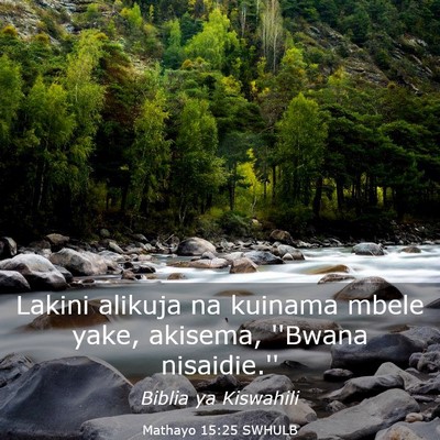 Picture 03 - Mathayo 15:25 SWHULB - Lakini alikuja na kuinama mbele yake, akisema, - Bible Verse Picture
