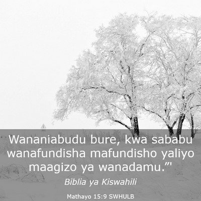 Picture 03 - Mathayo 15:9 SWHULB - Wananiabudu bure, kwa sababu wanafundisha - Bible Verse Picture