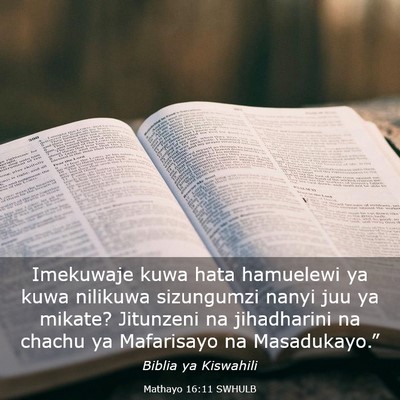 Picture 03 - Mathayo 16:11 SWHULB - Imekuwaje kuwa hata hamuelewi ya kuwa nilikuwa - Bible Verse Picture