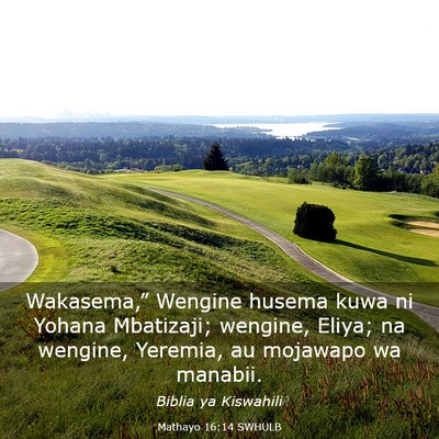 Picture 03 - Mathayo 16:14 SWHULB - Wakasema,” Wengine husema kuwa ni Yohana - Bible Verse Picture