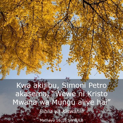 Picture 03 - Mathayo 16:16 SWHULB - Kwa akijibu, Simoni Petro akasema, “Wewe ni - Bible Verse Picture