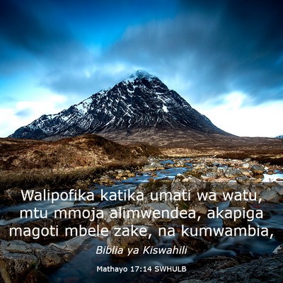 Picture 03 - Mathayo 17:14 SWHULB - Walipofika katika umati wa watu, mtu mmoja - Bible Verse Picture
