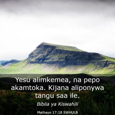 Picture 03 - Mathayo 17:18 SWHULB - Yesu alimkemea, na pepo akamtoka. Kijana - Bible Verse Picture